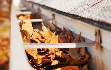 West Ravendale gutter cleaning companies