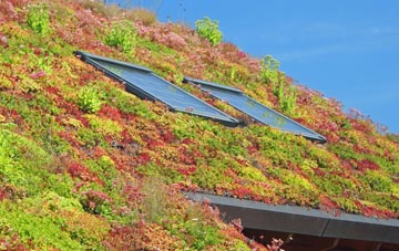 West Ravendale living roof systems